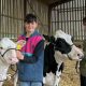 Farmers' warning as milk prices fall below cost