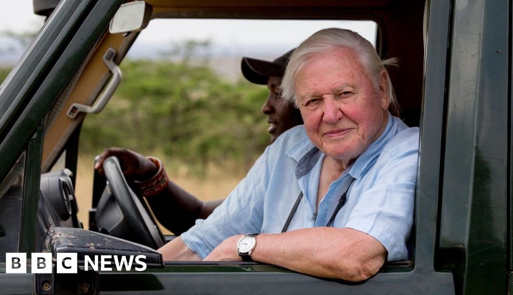 How Sir David Attenborough built 'Green Hollywood'