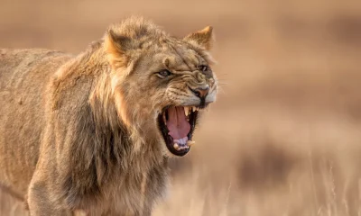 How To Deal With An Angry Person
