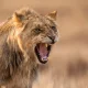 How To Deal With An Angry Person