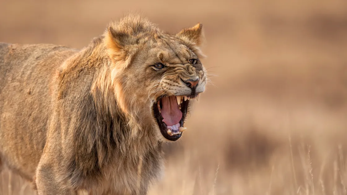 How To Deal With An Angry Person