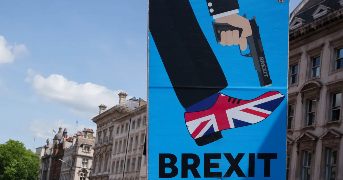 David Lammy Refuses 5 Times To Say Rejoin EU