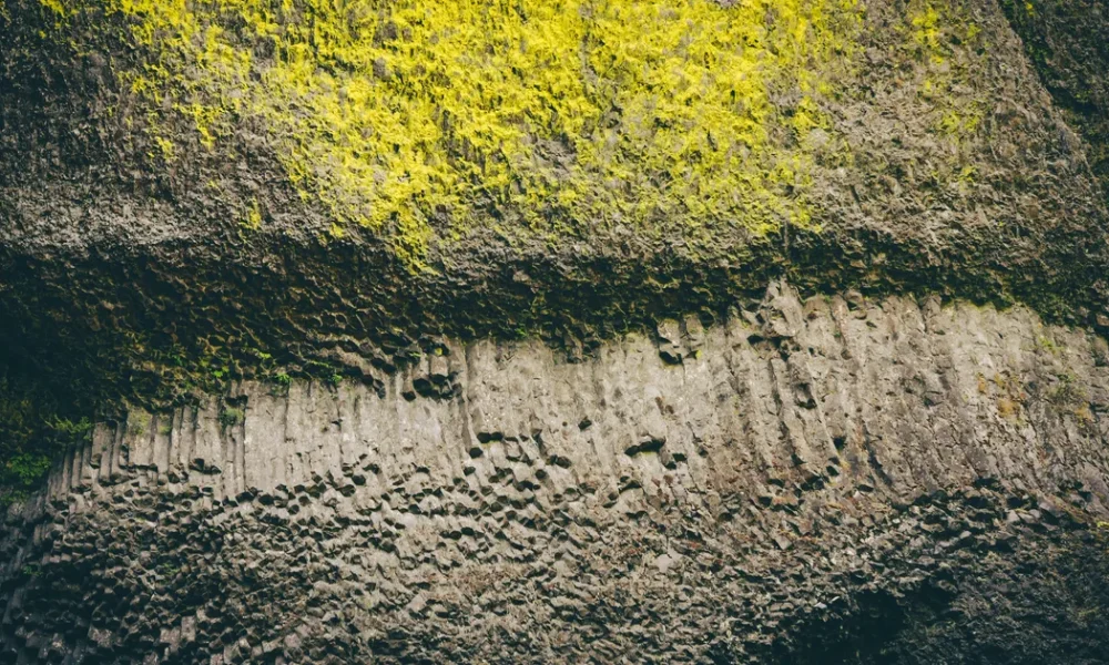 Stop Rewarding Drama: Why Being ‘Polite But Uninvested’ Is The New Way To Handle Toxic People