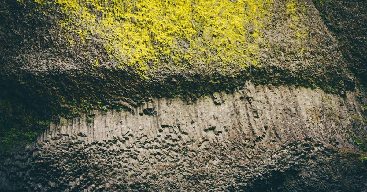 Stop Rewarding Drama: Why Being ‘Polite But Uninvested’ Is The New Way To Handle Toxic People