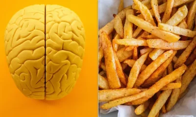 Researchers measured people’s brainwaves after eating and found that despite being full, they still responded to tempting food cues.