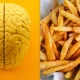 Researchers measured people’s brainwaves after eating and found that despite being full, they still responded to tempting food cues.