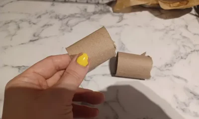 Halved toilet roll