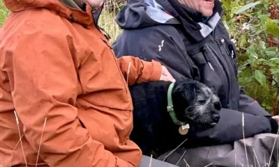 Bob Mortimer and Paul Whitehouse with Ted during last year's run of Gone Fishing