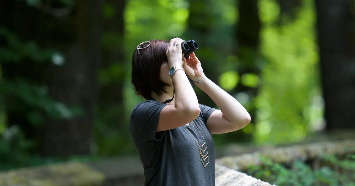 The UK's Birdwatching Boom Is Being Led By Gen Z