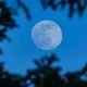 May 2026 Has Two Moons: How To See Blue And Flower Moons