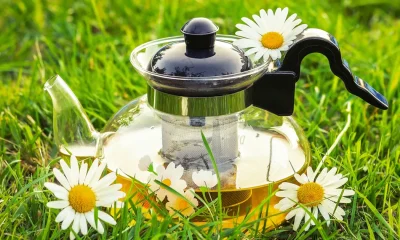 Cup Of Chamomile Tea Could Save Garden From Fungus