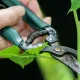 King Charles' Former Gardener Jack Stooks Shares Pruning Tips To Help Your Garden Flourish