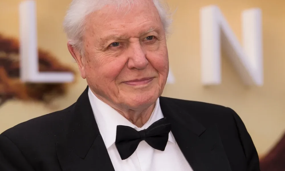 It Turns Out David Attenborough Is The Reason Tennis Balls Are Yellow