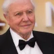 It Turns Out David Attenborough Is The Reason Tennis Balls Are Yellow