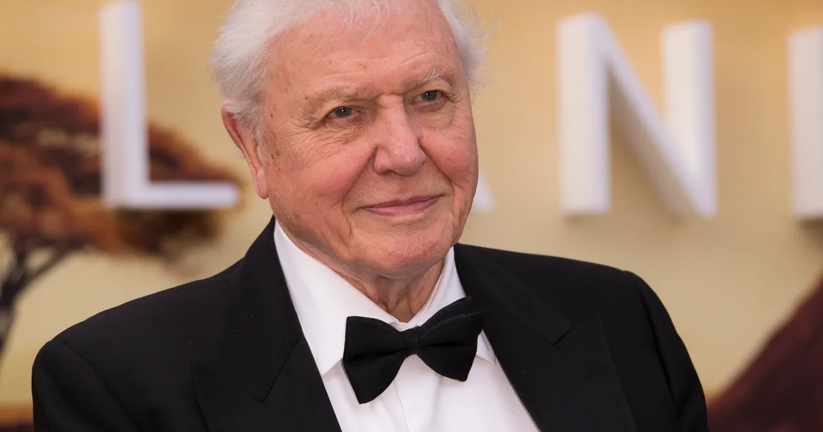 It Turns Out David Attenborough Is The Reason Tennis Balls Are Yellow