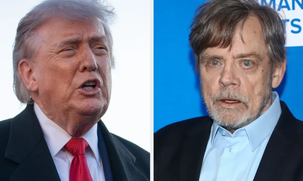 White House Slams Mark Hamill Over Trump Grave Picture