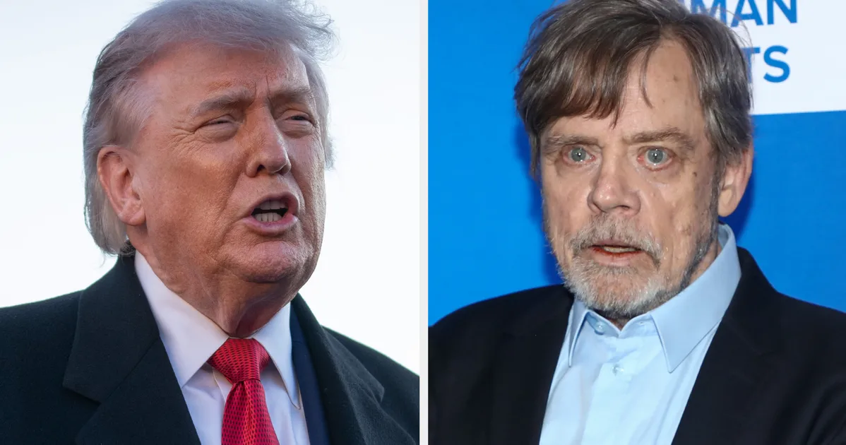White House Slams Mark Hamill Over Trump Grave Picture