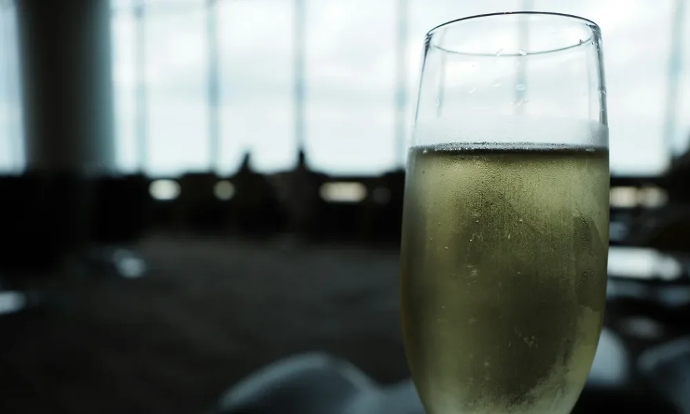 Ryanair's Proposed Airport Pint Ban: Passenger Reactions