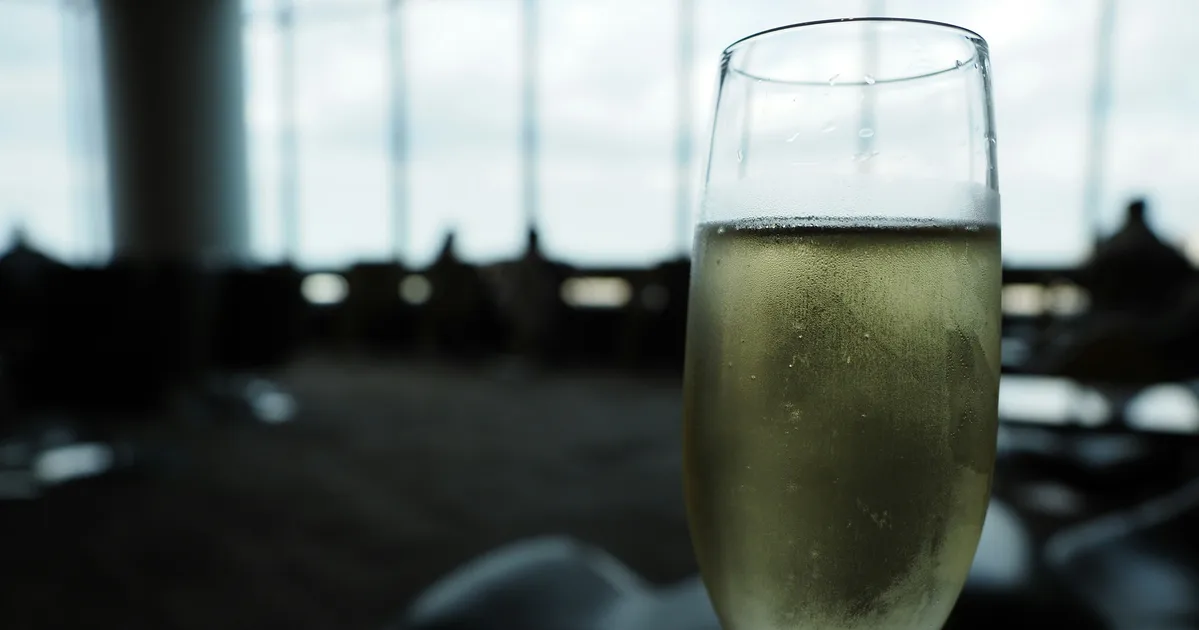 Ryanair's Proposed Airport Pint Ban: Passenger Reactions