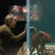 Unsurprisingly, Sally Field's work as Tova in Remarkably Bright Creatures has been singled out for praise