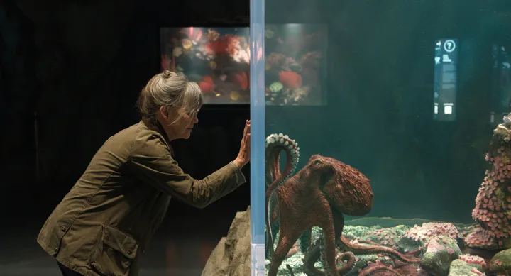 Unsurprisingly, Sally Field's work as Tova in Remarkably Bright Creatures has been singled out for praise