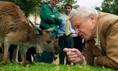 David Attenborough Hits 100: 5 Habits Centenarians Share
