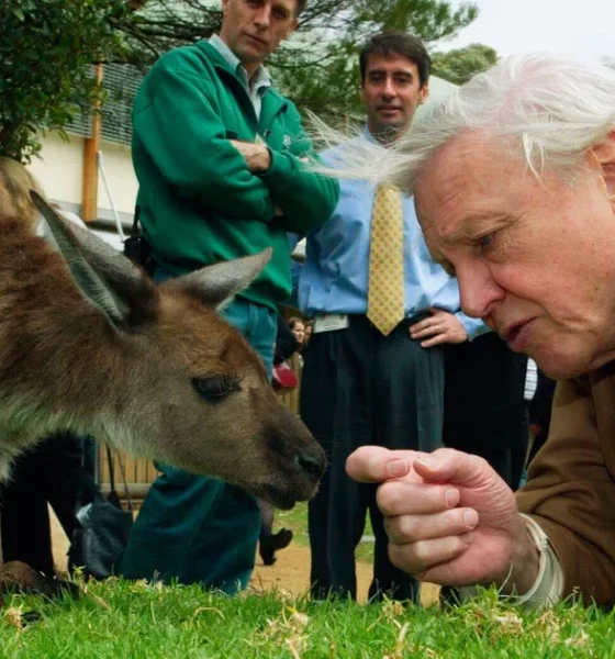 David Attenborough Hits 100: 5 Habits Centenarians Share