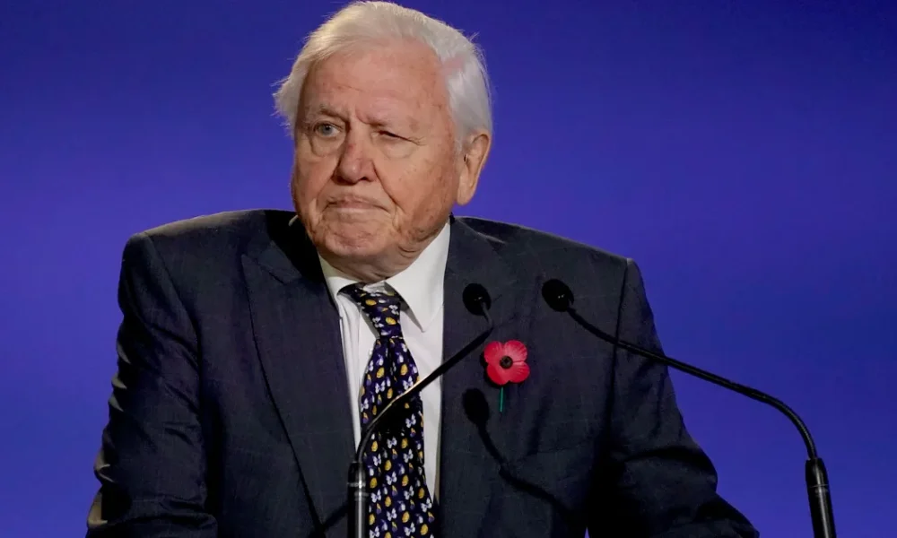 David Attenborough Reveals the ‘Single Most Important’ Way to Connect Children With Nature