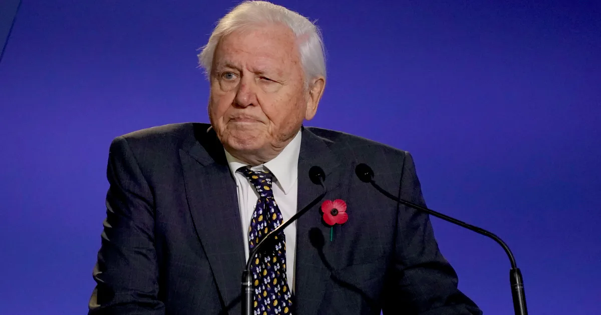 David Attenborough Reveals the ‘Single Most Important’ Way to Connect Children With Nature