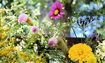 The Ultimate 'Chelsea Chop' Guide For Flowers All Summer