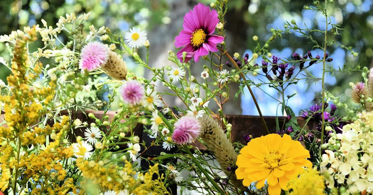 The Ultimate 'Chelsea Chop' Guide For Flowers All Summer