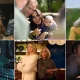TV Baftas 2026: Where To Stream All The Winners