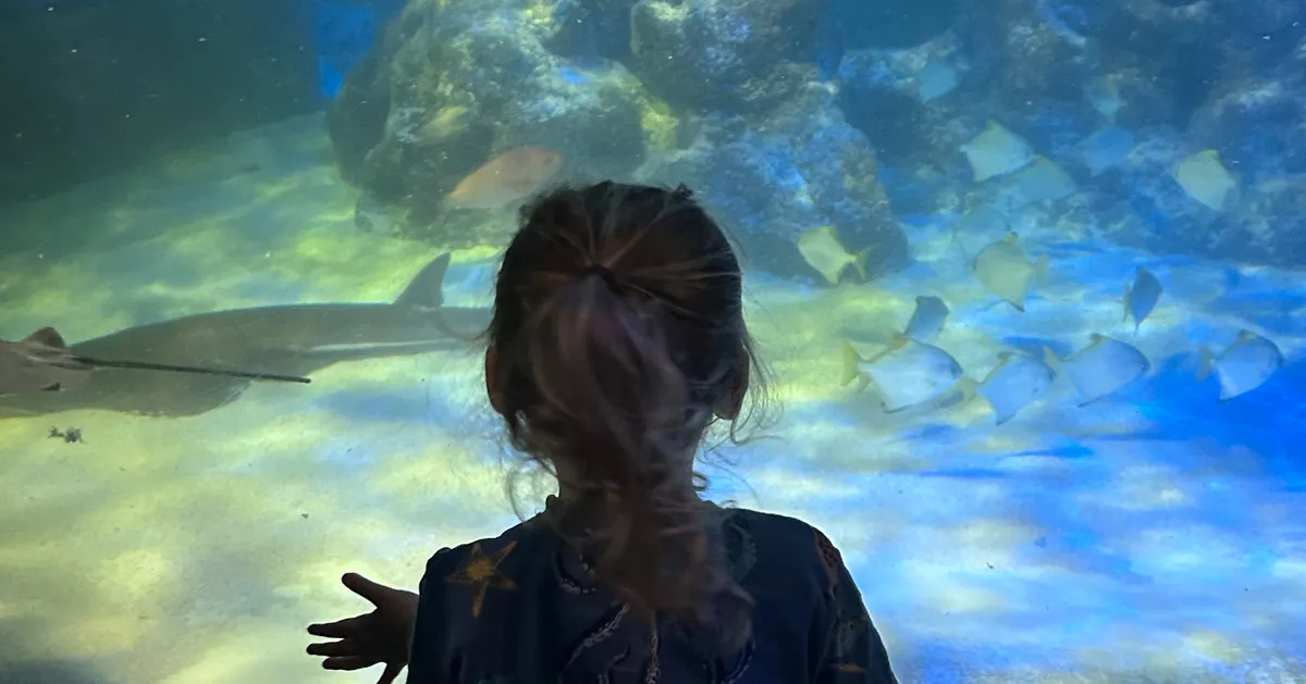 How David Attenborough Helped My Non-Verbal Son Learn To Speak