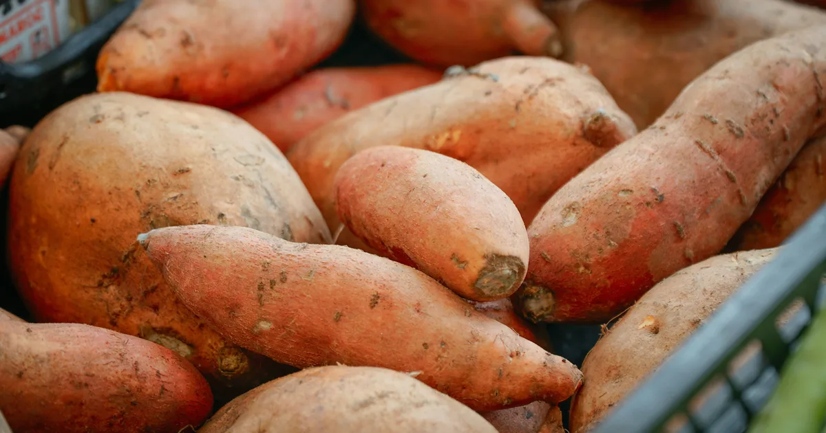 What's The Difference Between Sweet Potatoes And Yams?