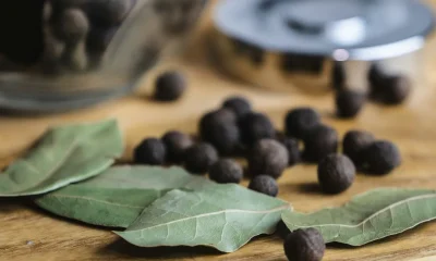 What Is Allspice? People Left Stunned As They Discover What It's Really Made From