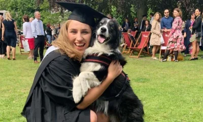 My Dog May Not Have Much Time Left. Here's Why We're Spending It Travelling Europe