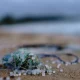 Microplastics Could Be Making Global Warming Worse