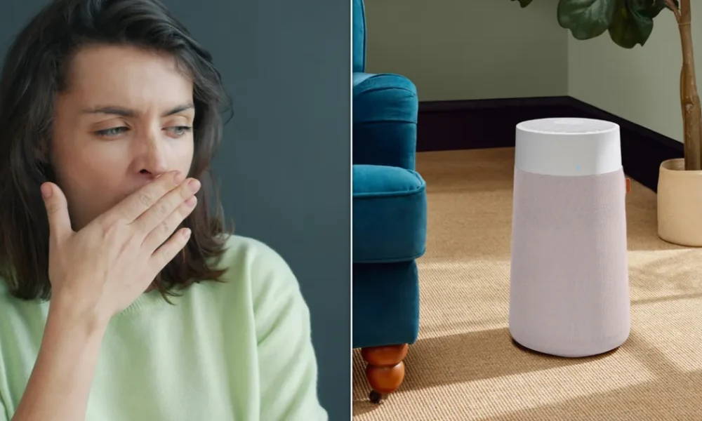 Best Air Purifiers For Hay Fever 2026: How HEPA Filters Trap Seasonal Allergens