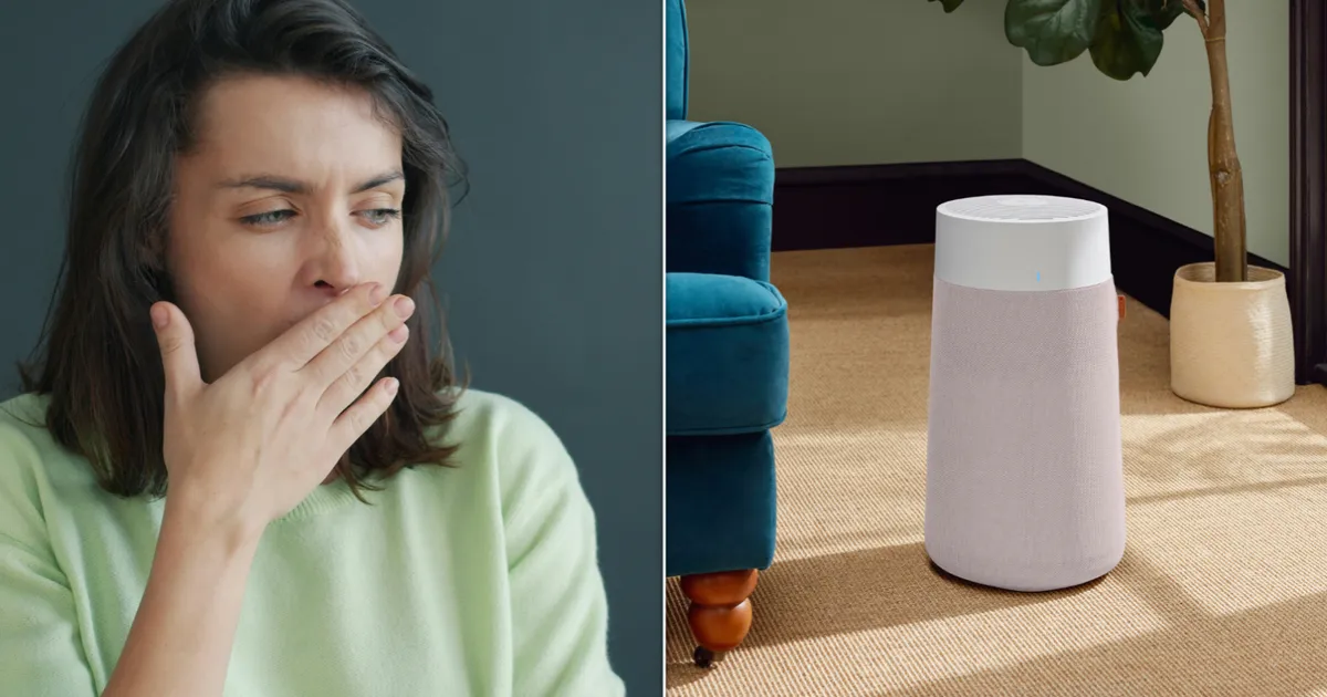 Best Air Purifiers For Hay Fever 2026: How HEPA Filters Trap Seasonal Allergens