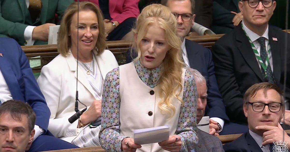 Green MP Shouted Down In PMQs As She Calls For Alcohol Ban In Parliament
