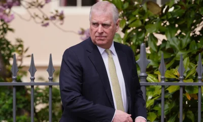 Findings From Files On Andrew Mountbatten-Windsor's Trade Envoy Job