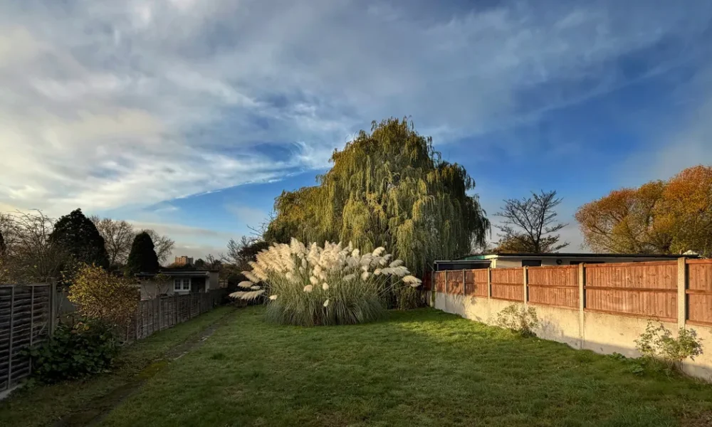 Gardening Experts Share Why You Should Check Leaves In Your Garden