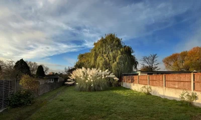 Gardening Experts Share Why You Should Check Leaves In Your Garden
