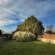 Gardening Experts Share Why You Should Check Leaves In Your Garden