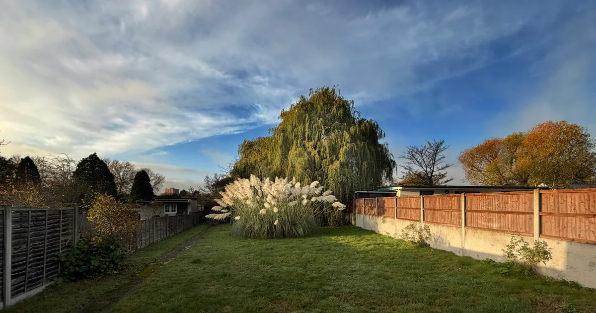 Gardening Experts Share Why You Should Check Leaves In Your Garden