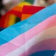 EHRC Trans Guidance Compared To Trump's America Policies