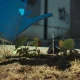 Should I Water My Grass In A Heatwave?