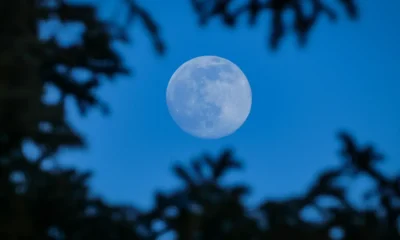 May Blue Moon 2026 UK: Where, When, And How To See It