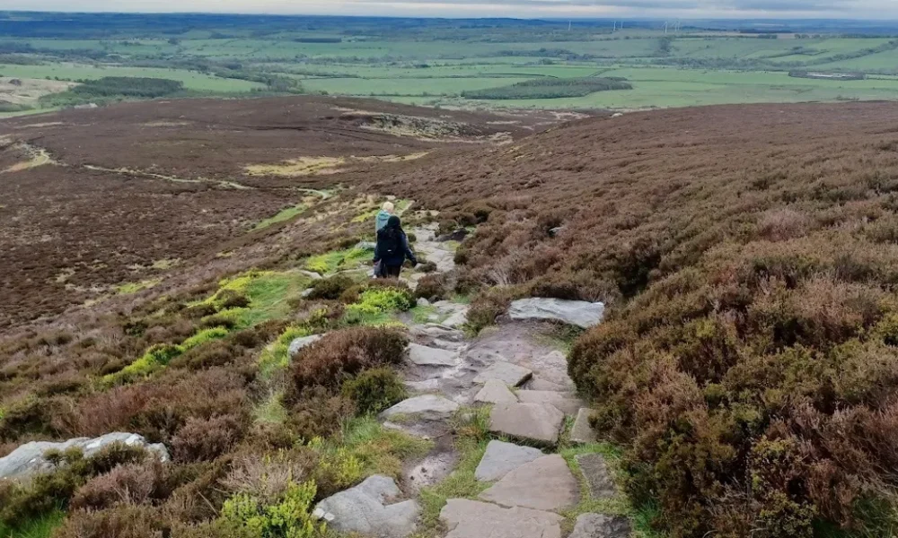 Why We Should Walk Downhill More Often As We Age