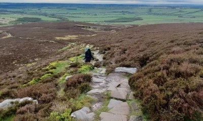 Why We Should Walk Downhill More Often As We Age